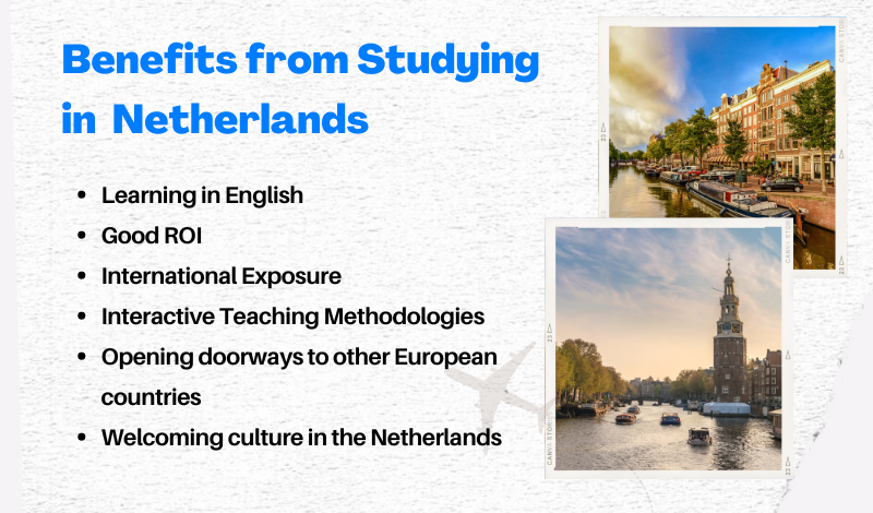 studying in the Netherlands 