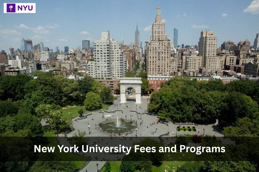 New York University Fees and Programs