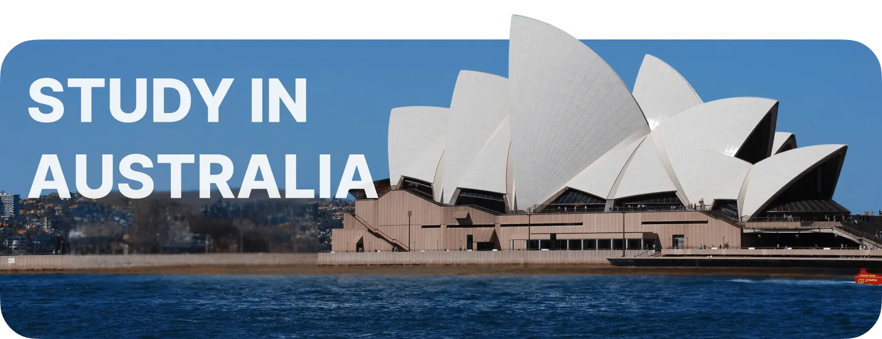 study australia banner