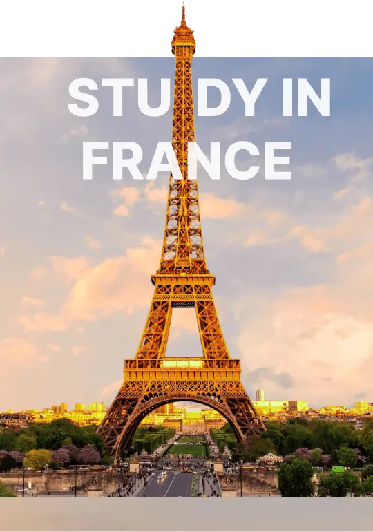 study france banner