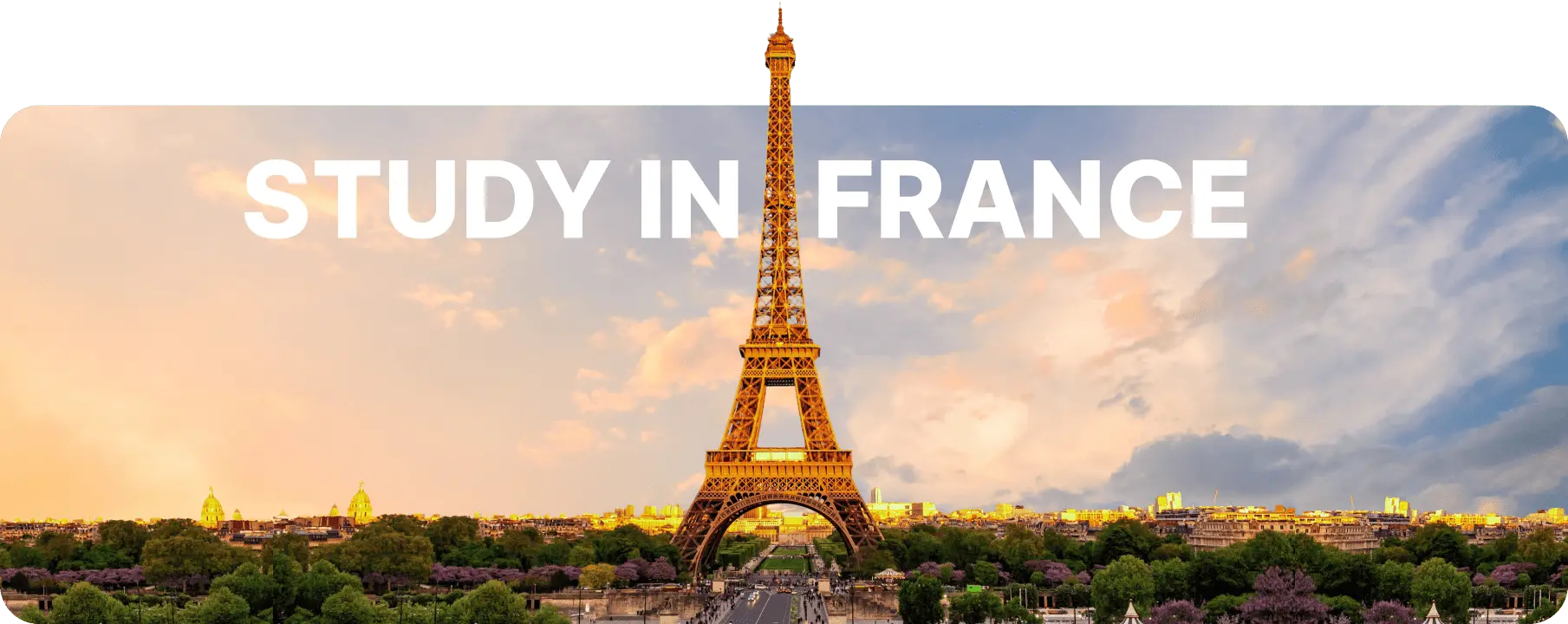 study france banner