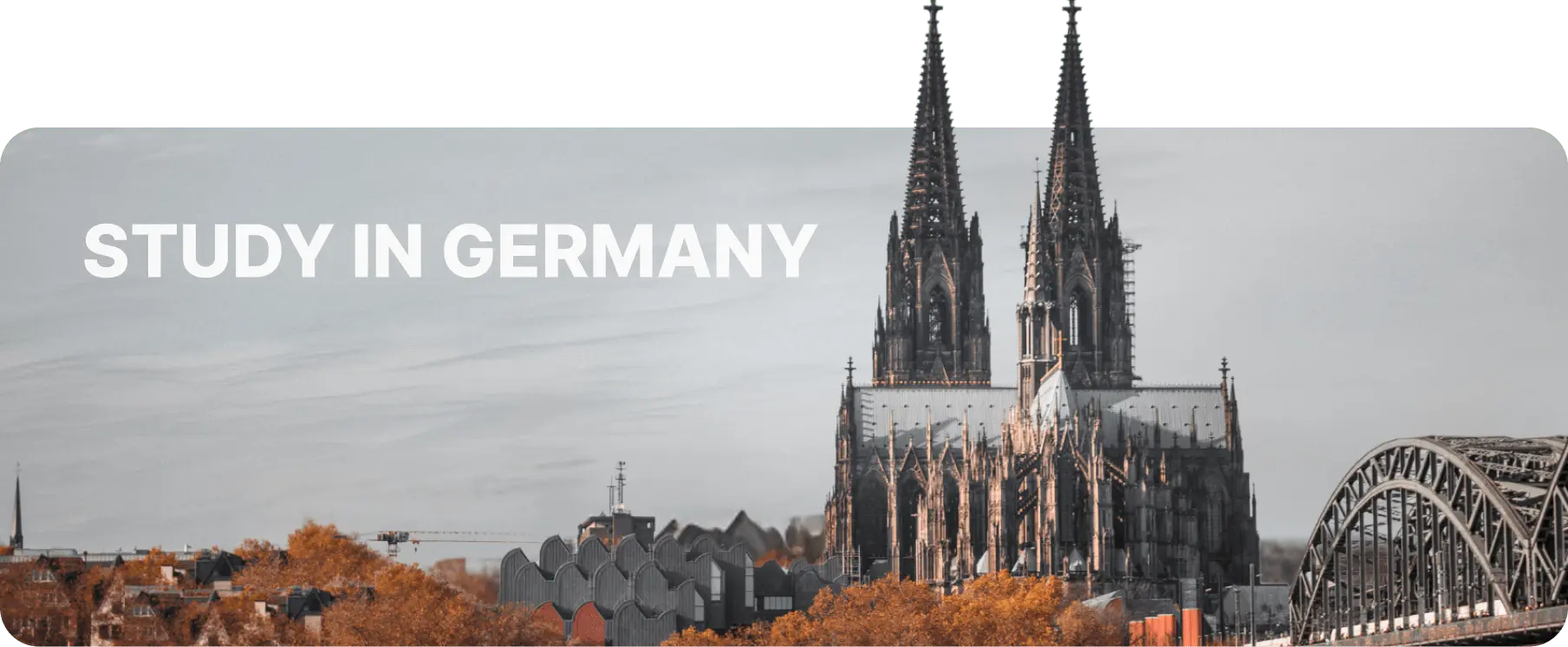 study germany banner