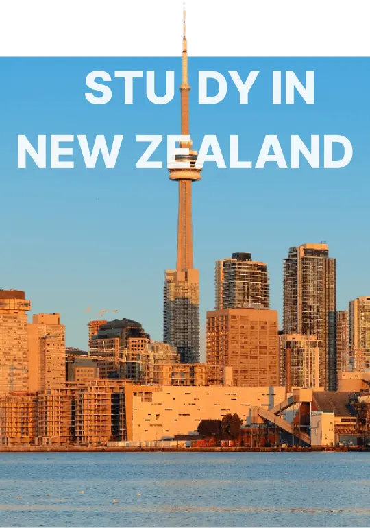 study newzealand banner