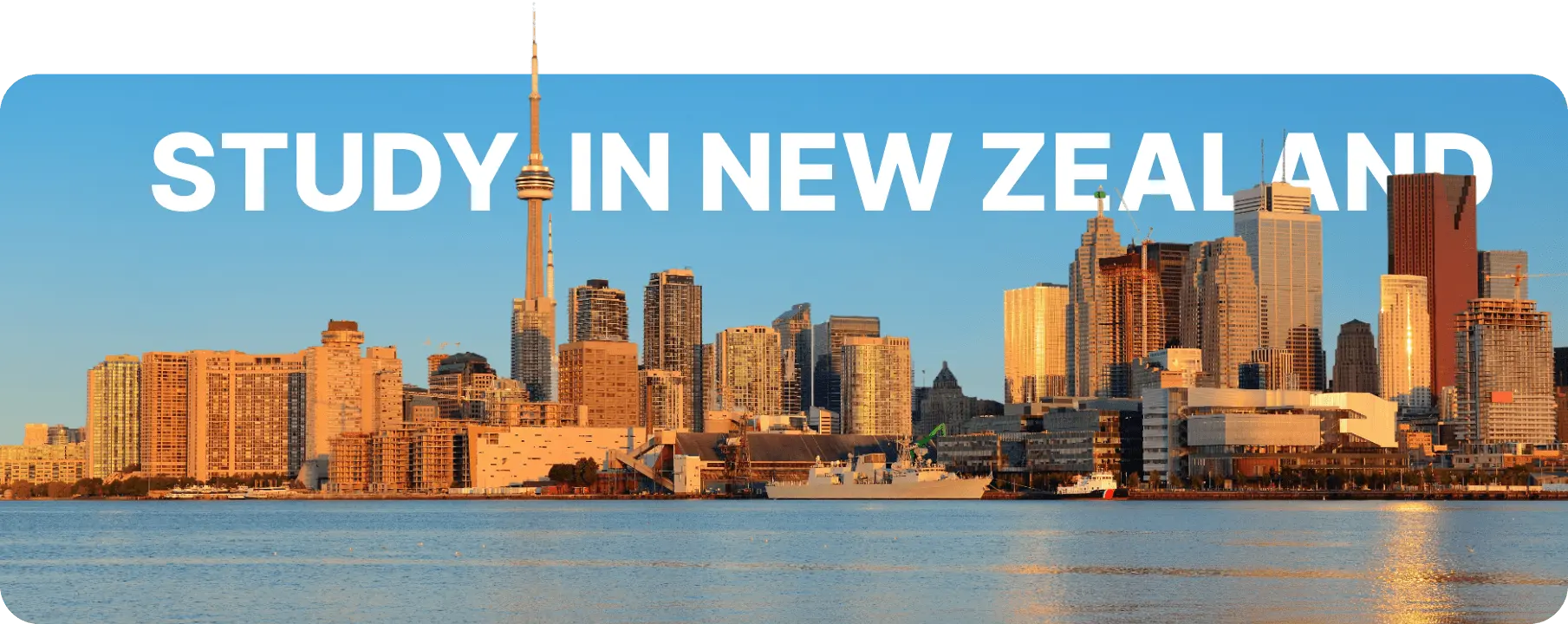 study newzealand banner